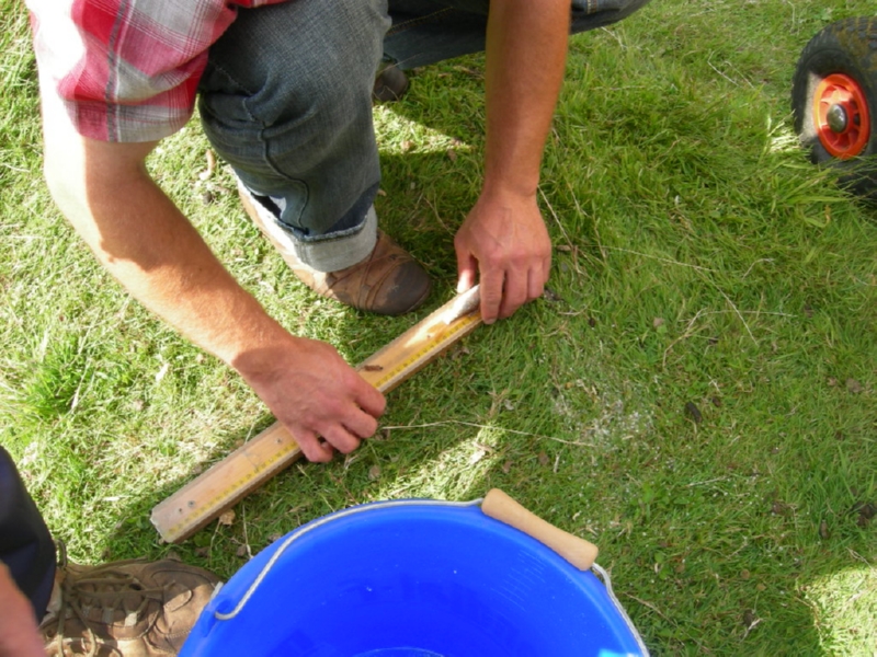 Lith 2008 (137)
